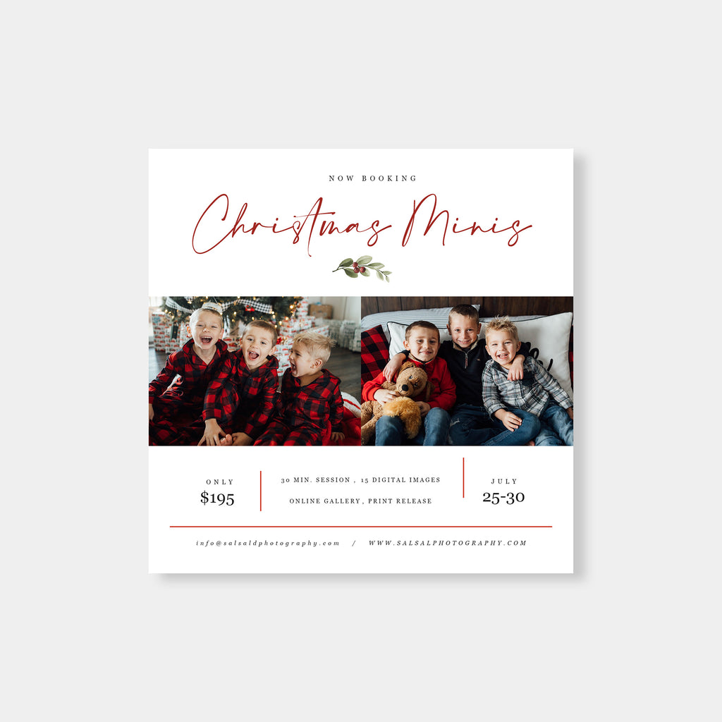 Berries Leaves - Christmas Mini Session Template-Template-Salsal Design