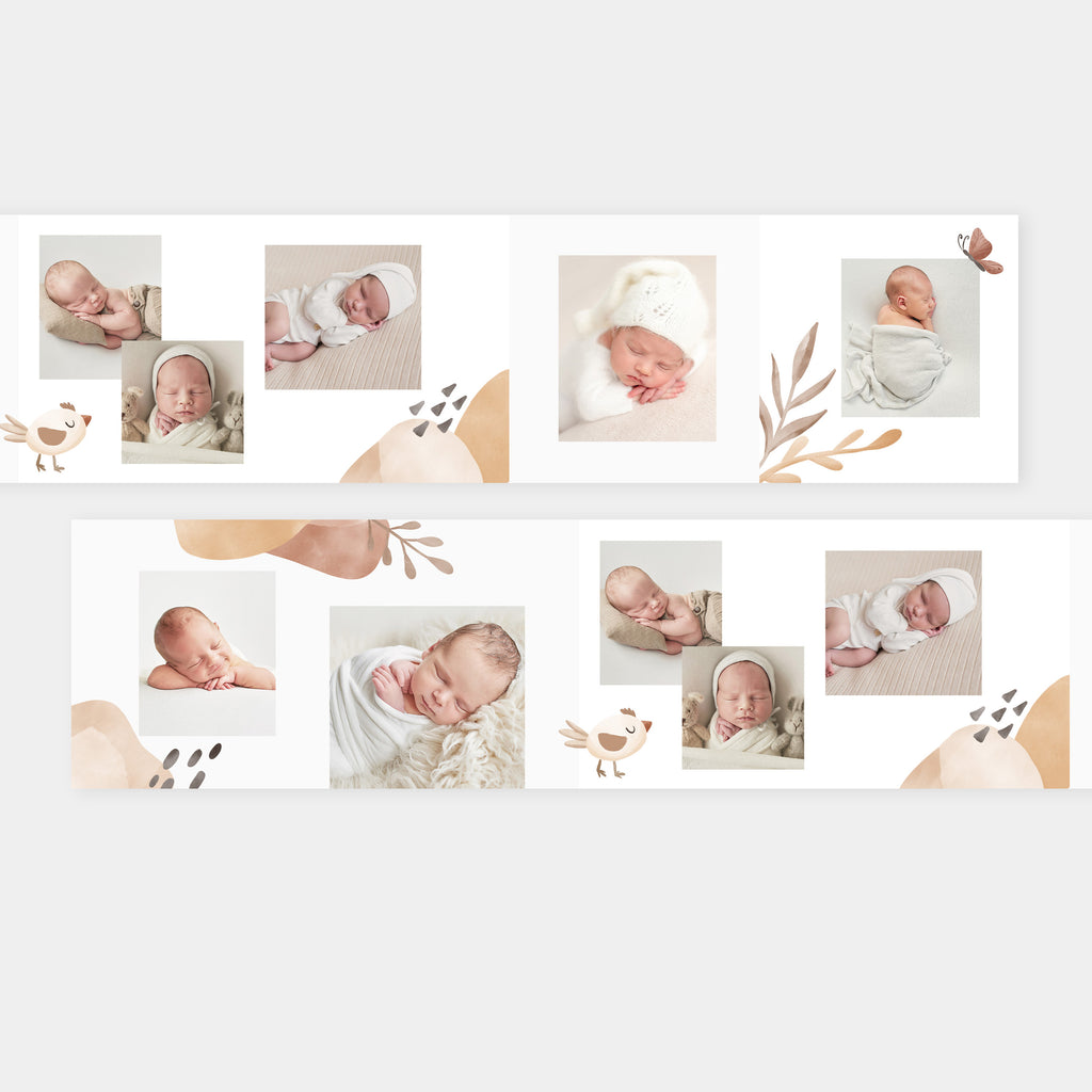 Sunshine - Newborn Mini Accordion Album Template-Template-Salsal Design